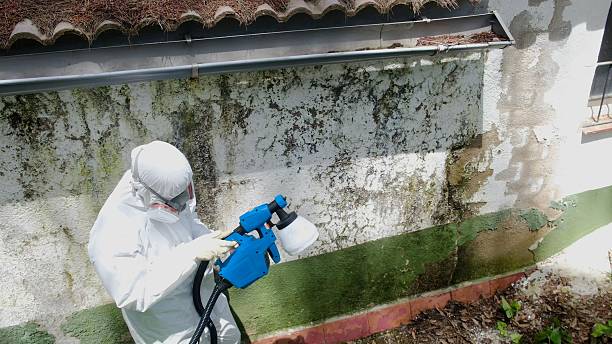 Top rated local Bathroom Mold Removal specialists in Greenville, GA